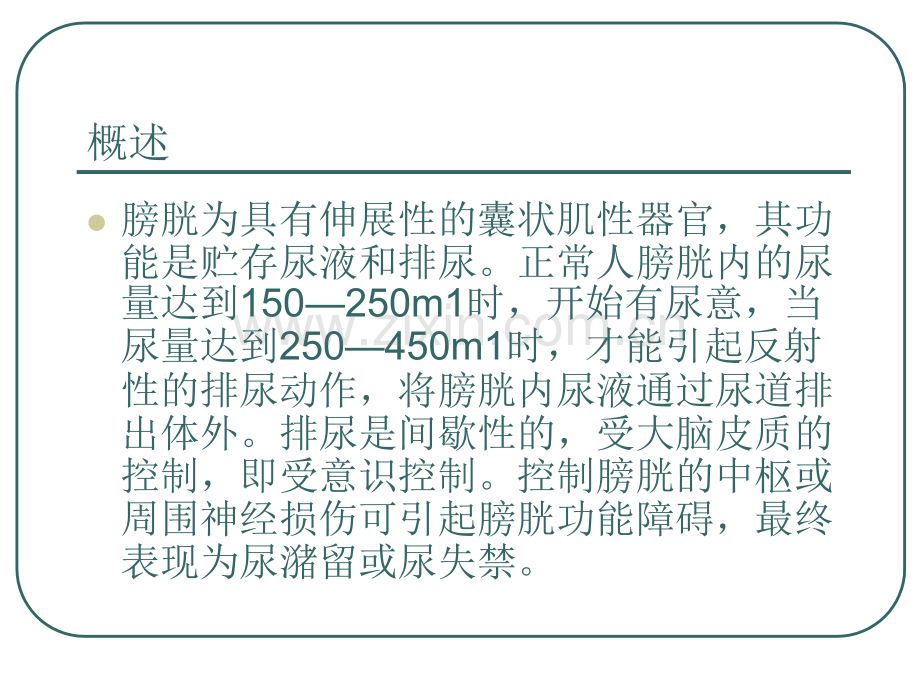 常见症状的康复护理.pptx_第2页