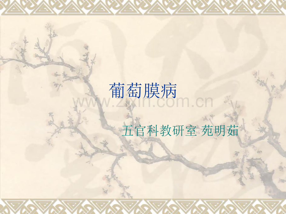 内眼病葡萄膜炎.pptx_第1页