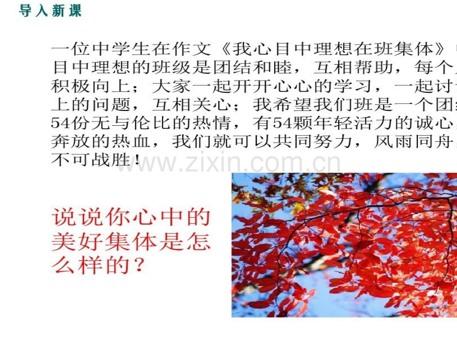 憧憬美好集体10.pptx_第1页