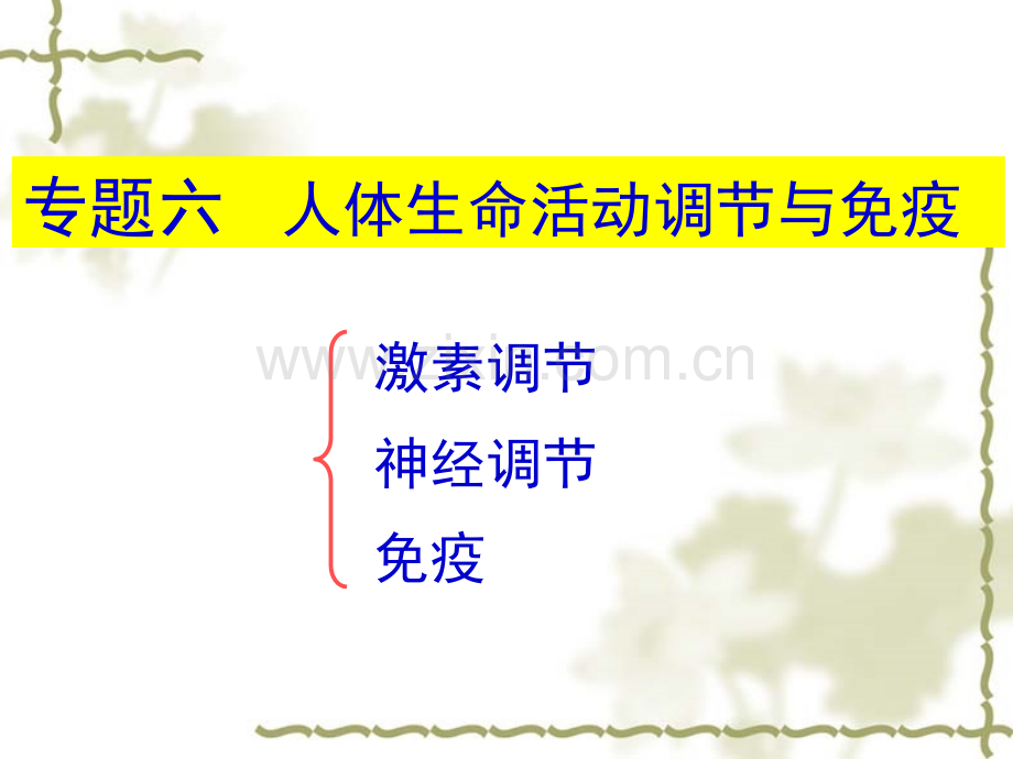 初中生物精简专题六课件.pptx_第1页