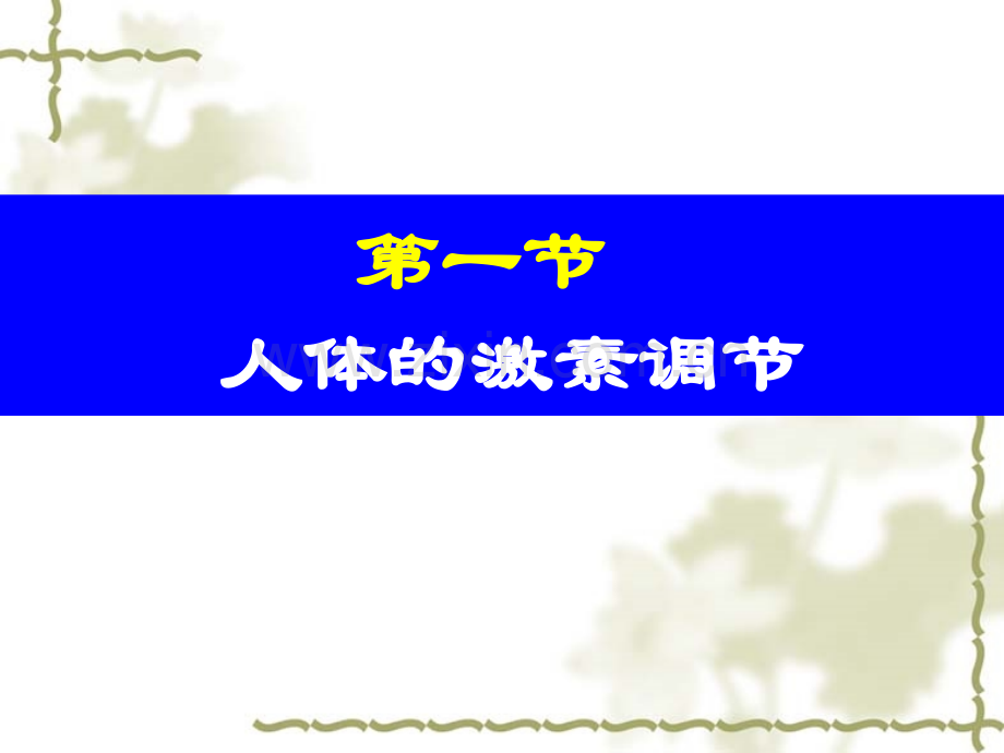 初中生物精简专题六课件.pptx_第2页
