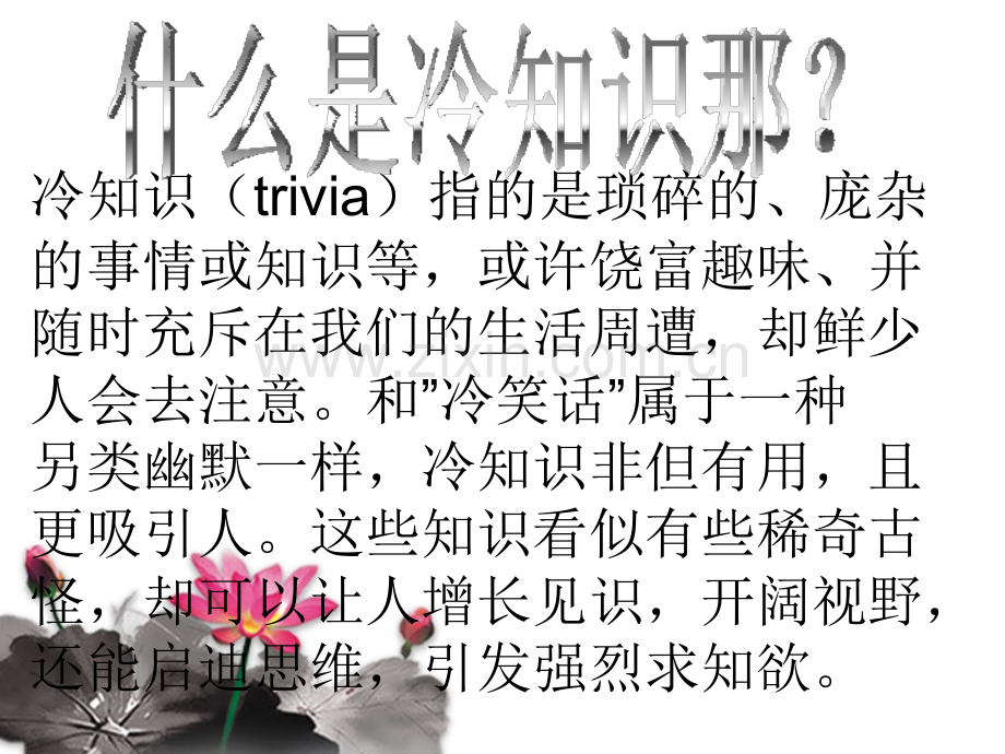 冷知识幻灯片.pptx_第2页
