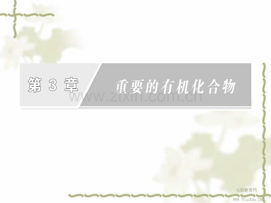 化学必修二乙酸2.pptx_第2页