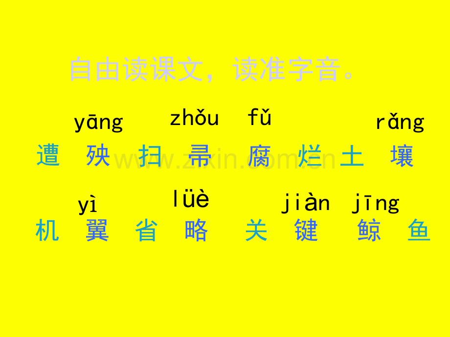 大自然的启示.ppt.pptx_第2页