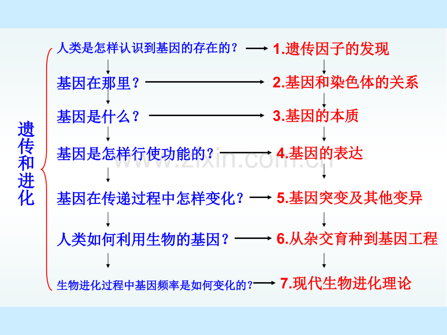 孟德尔的豌豆杂交实验一课件.pptx_第2页