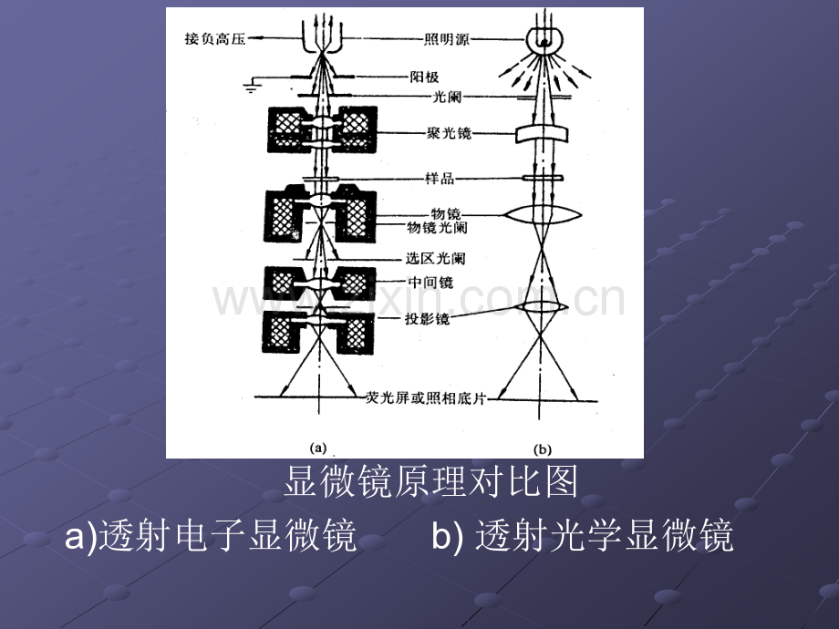 实验一---透射电镜的结构与组织观察.pptx_第2页