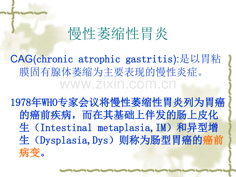 慢性萎缩性胃炎中西医认识.pptx_第2页