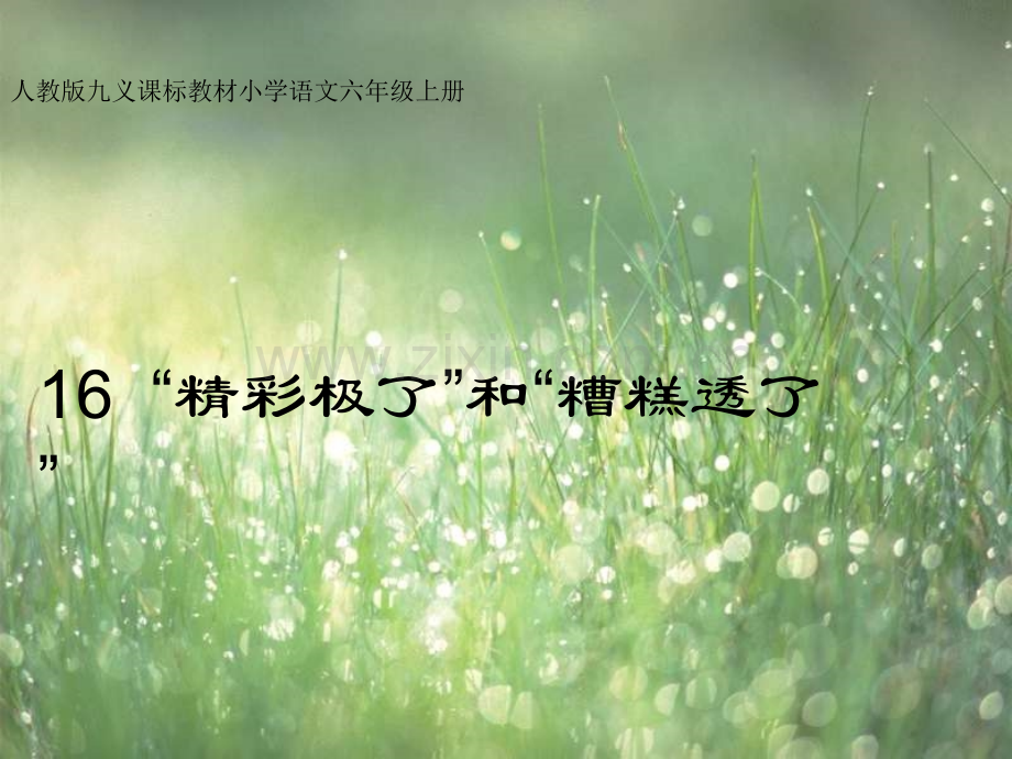 小学语文六年级上册精彩极了和糟糕透了.pptx_第1页