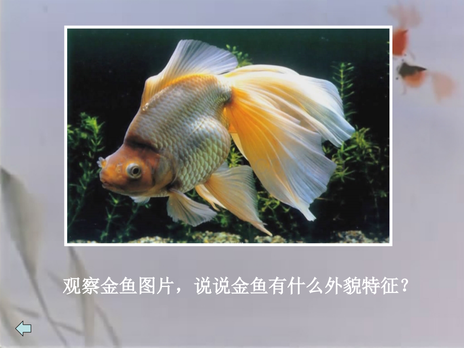 湘教五年级上册水墨动物.pptx_第2页