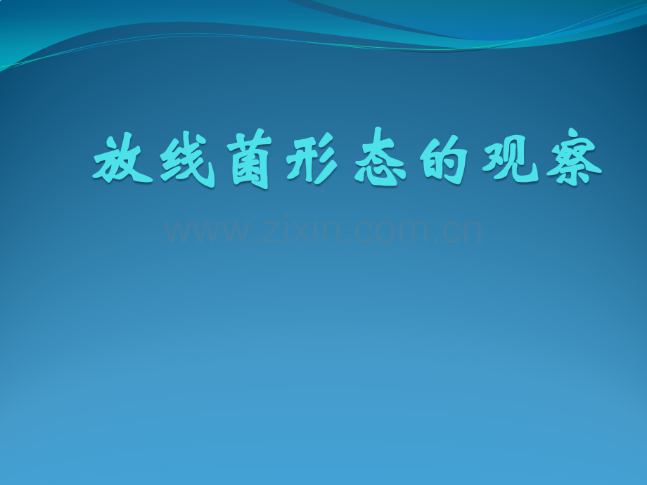 实验五放线菌形态观察.pptx_第1页