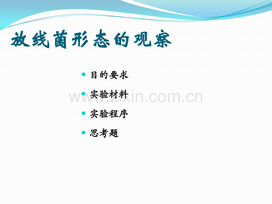 实验五放线菌形态观察.pptx_第2页