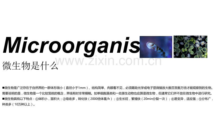 微生物及无菌操作课件.pptx_第2页