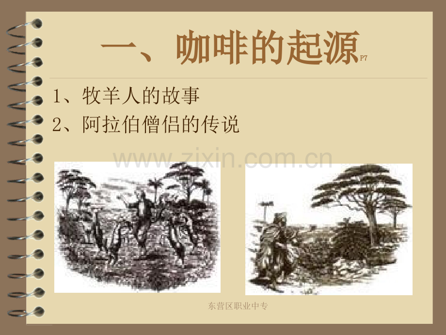 咖啡基础知识概述.pptx_第2页