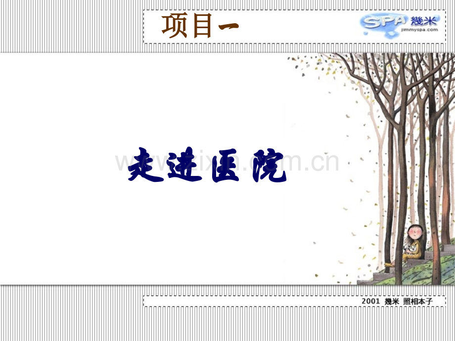 医疗机构会计实务.pptx_第2页