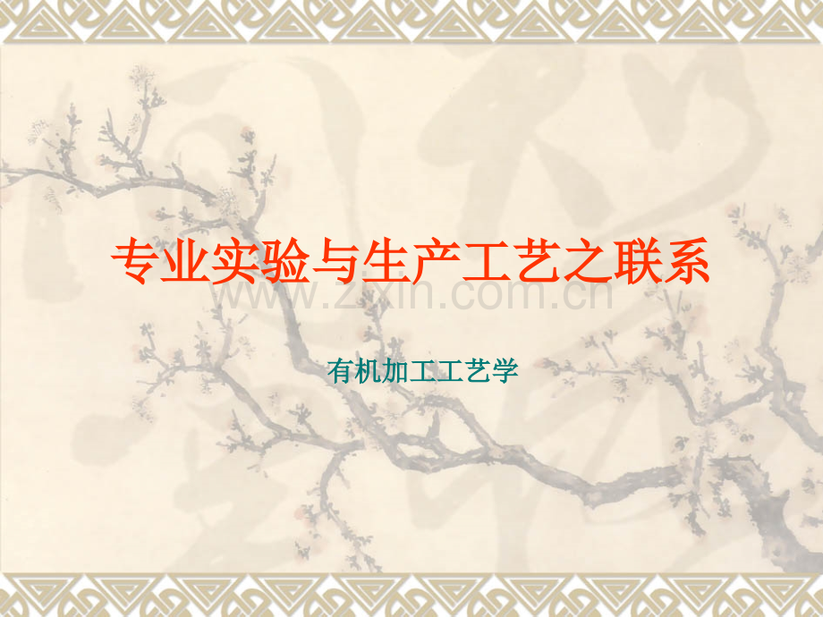 化工专业实验.pptx_第1页