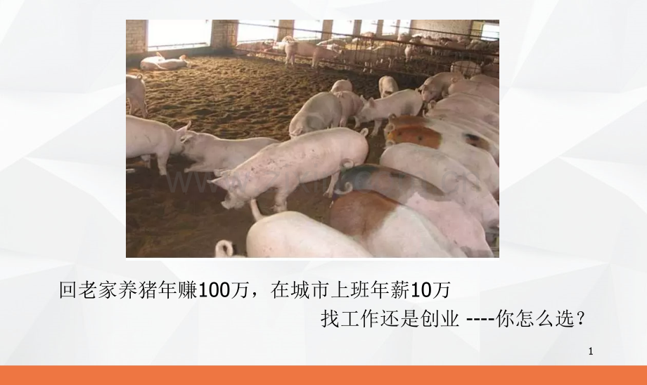 就业与创业.pptx_第1页