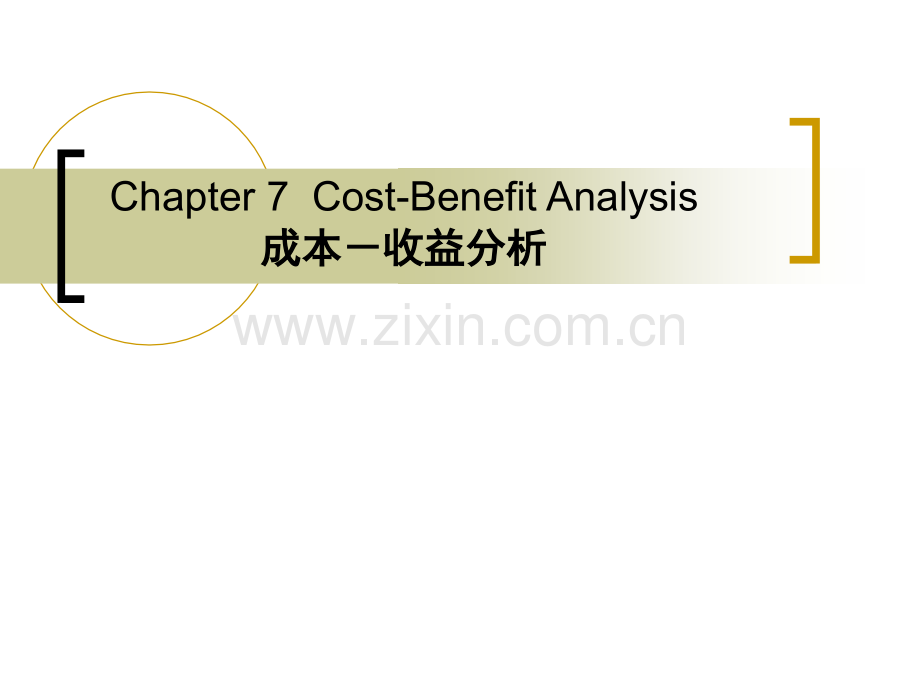 成本收益分析.pptx_第1页