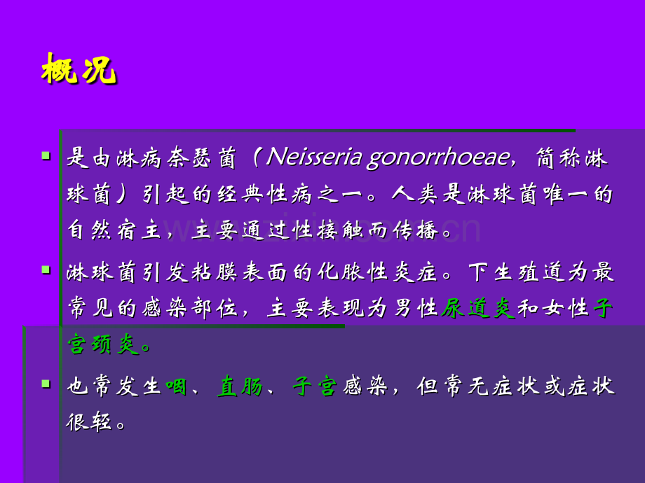 淋病讲课课件.pptx_第2页