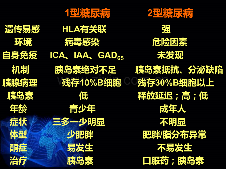 小讲课糖尿病.pptx_第2页