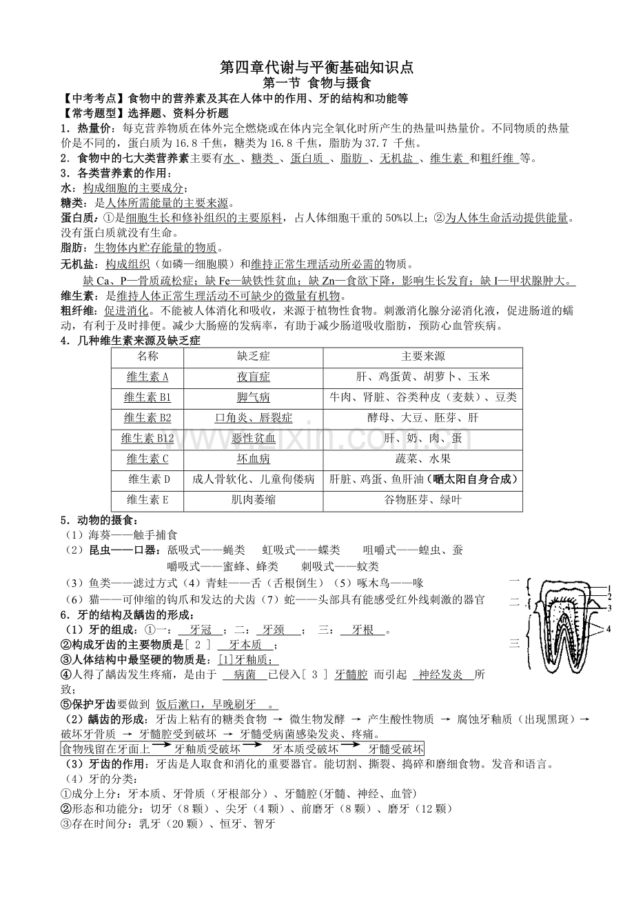 初三科学浙教版代谢与平衡基础知识点精华.doc_第1页