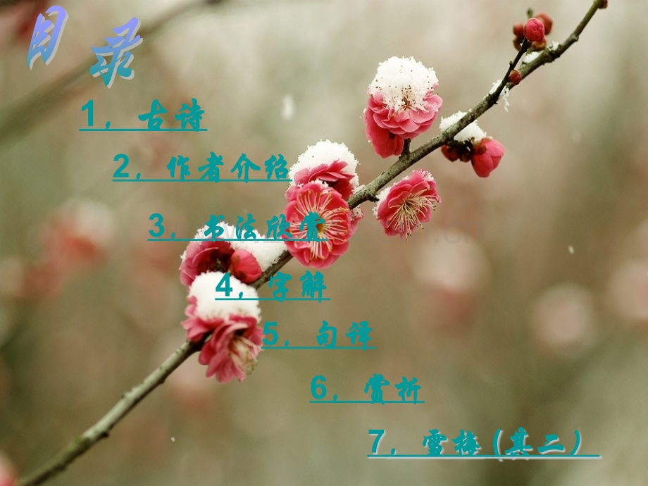 古诗雪梅.pptx_第2页