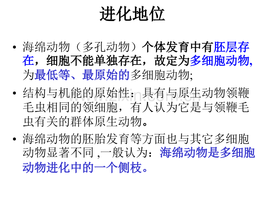 动物生物学-海绵动物门.pptx_第2页