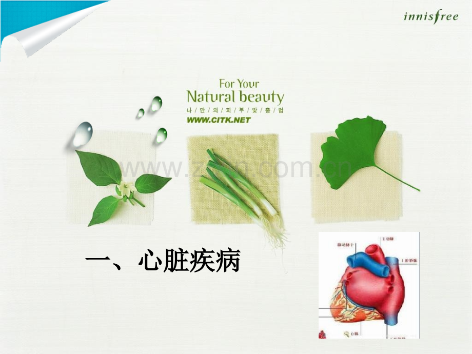 新品带牙膏15小时.pptx_第2页