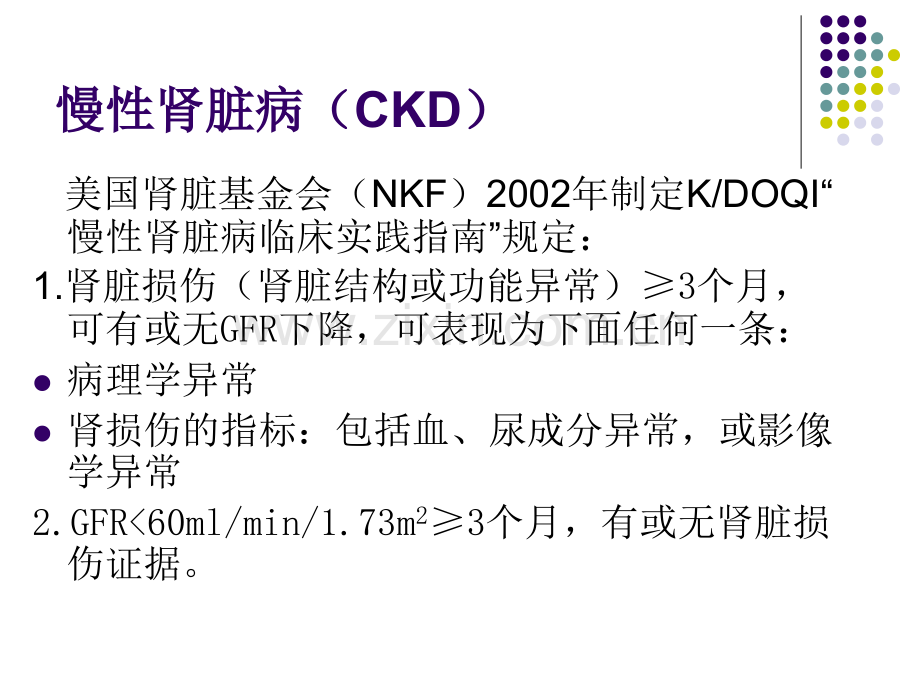 慢性肾脏病的早期诊断与中药治疗.pptx_第2页