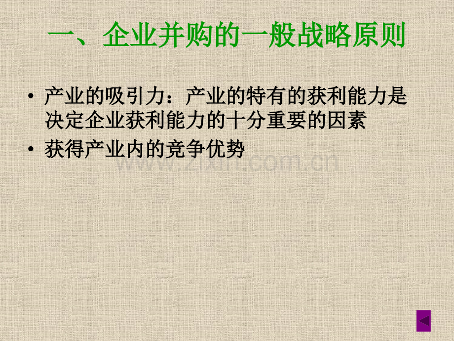 公司并购战略.pptx_第2页