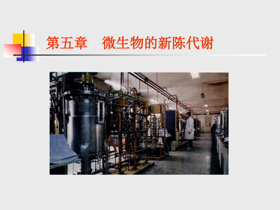 微生物的新陈代谢刘.pptx_第1页