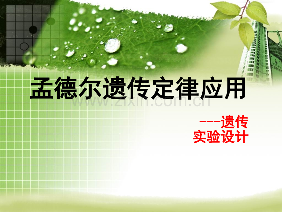 孟德尔遗传定律应用.pptx_第1页