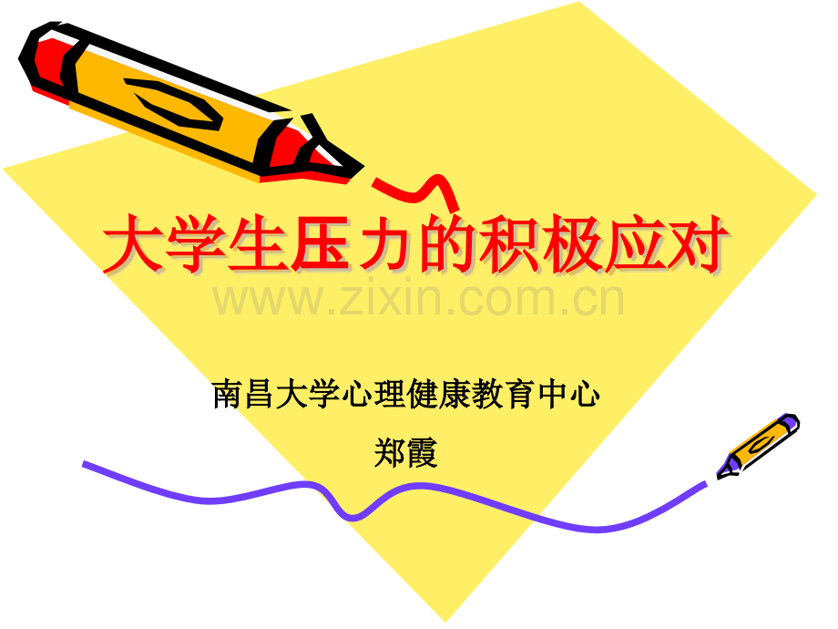 化学第讲压力的积极应对.pptx_第1页