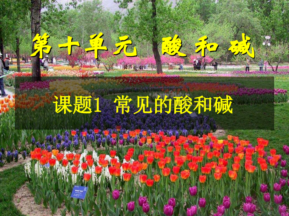 常见的酸和碱使用版.pptx_第1页