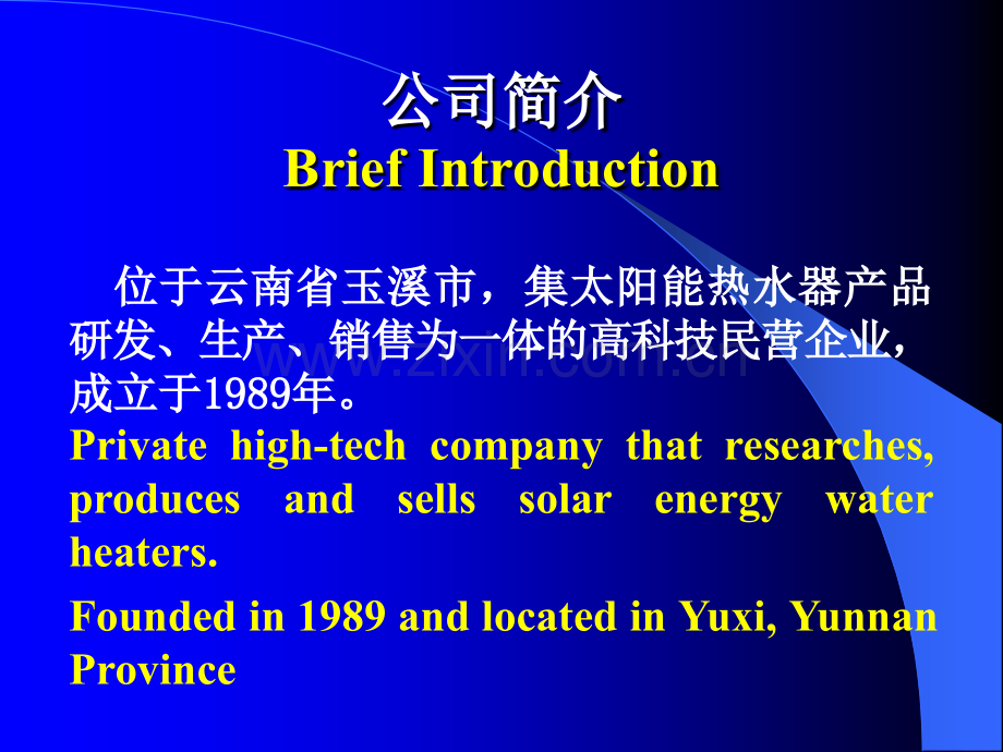 新型分体式抗冻平板太阳能热水器-商业计划书.pptx_第2页
