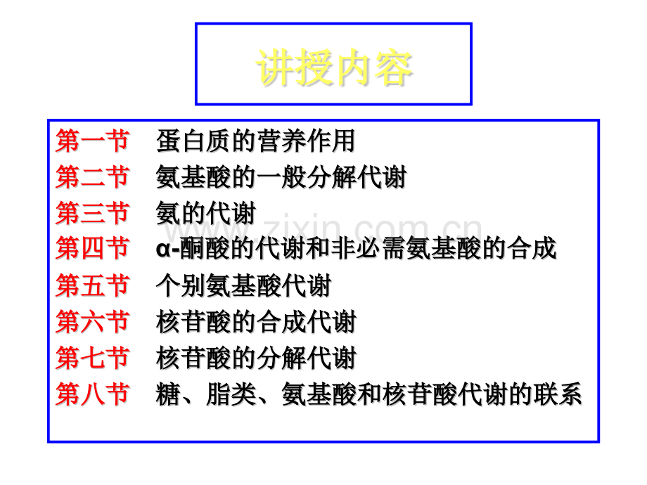 动物生化含氮小分子代谢.pptx_第2页