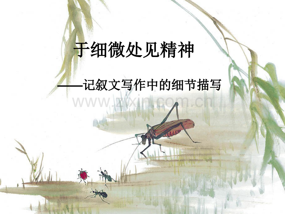 抓住细节作文指导课.pptx_第1页