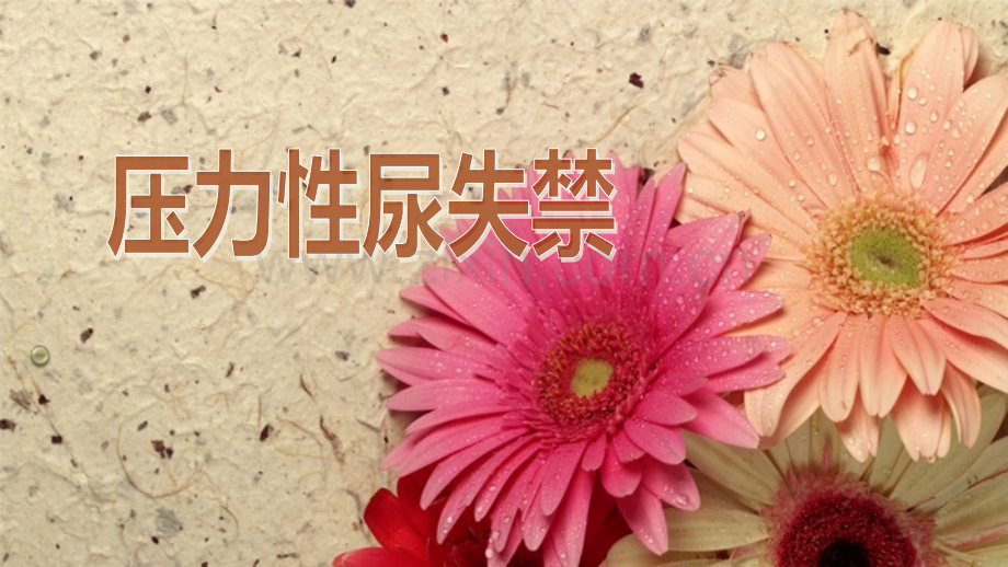 压力性尿失禁的护理.pptx_第1页