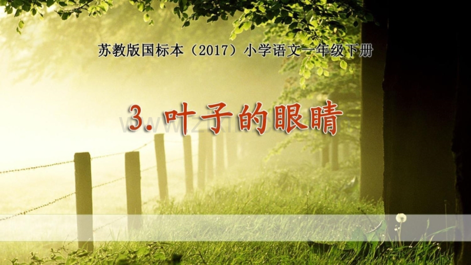 叶子的眼睛.pptx_第2页