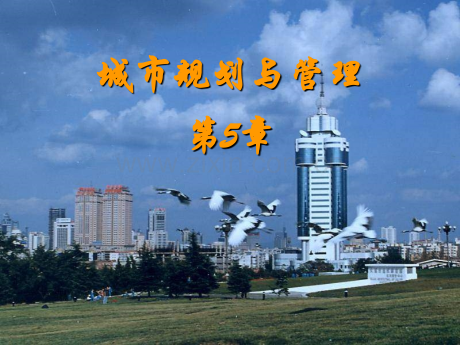 城市规划与管理城市道路系统规划.pptx_第1页