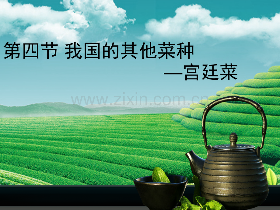 我国的其他菜种2.pptx_第1页