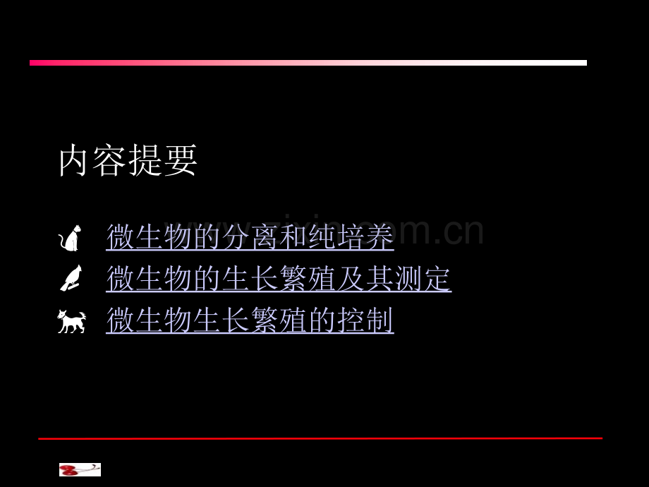 微生物的生长繁殖及其控制笔记.pptx_第2页