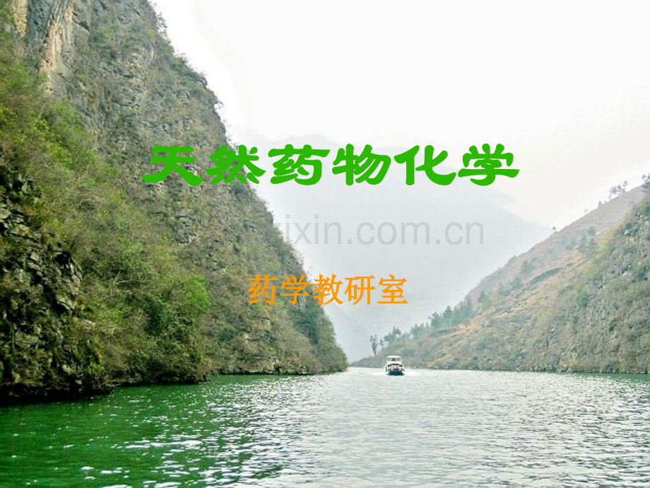 天药化醌类化合物.pptx_第1页