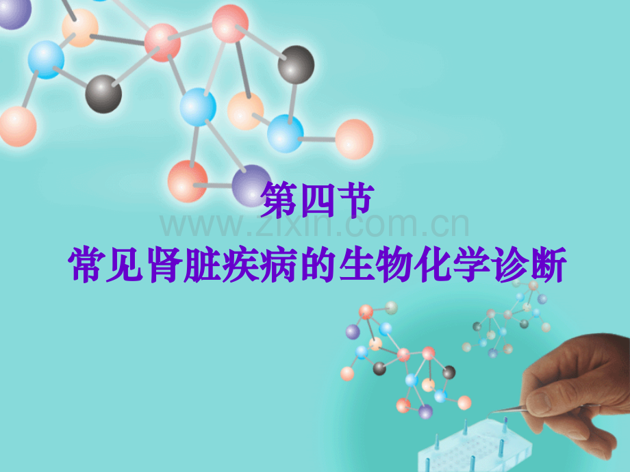 常见肾脏疾病的生物化学诊断资料.pptx_第2页