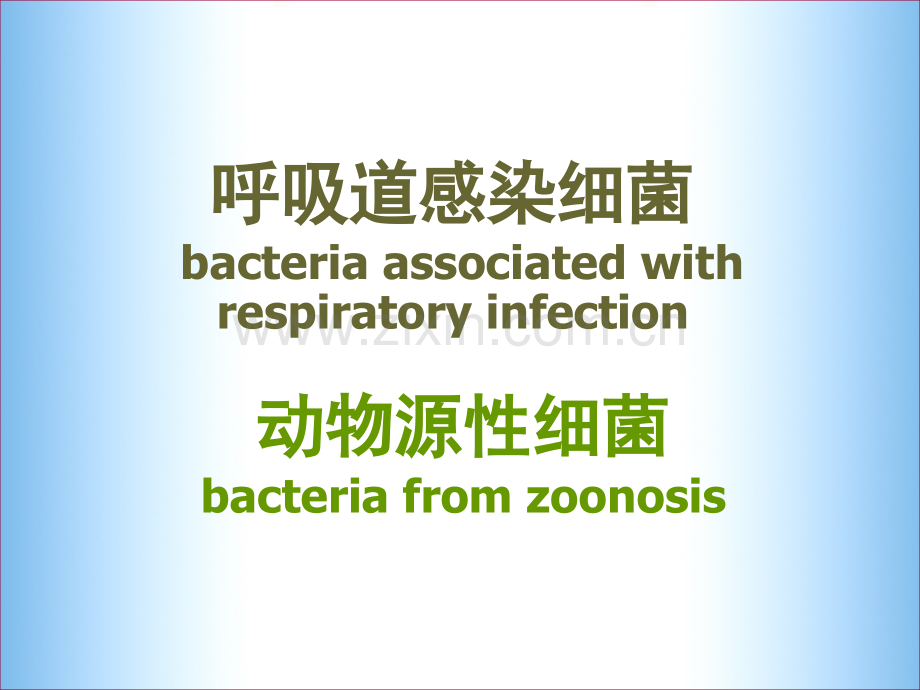 微生物学呼动物菌.pptx_第2页