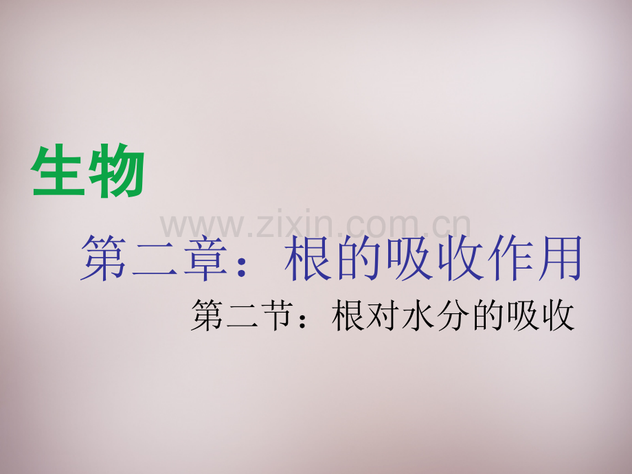 八年级生物上册根对水分吸收1新版冀教版.pptx_第1页