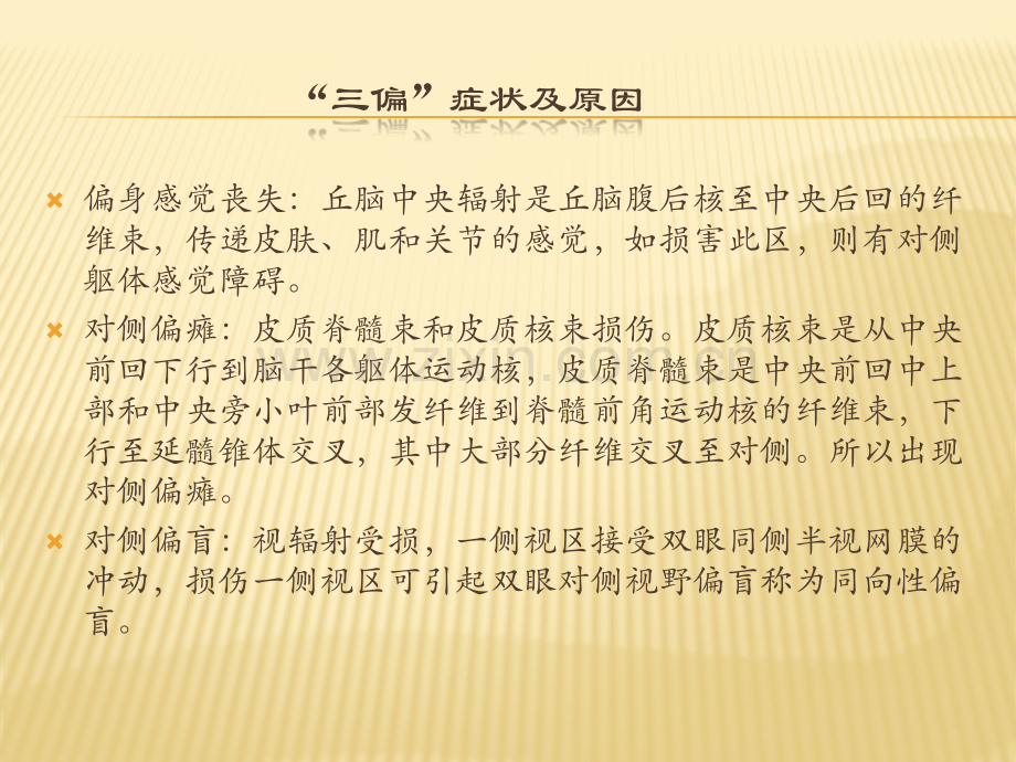 内囊损伤对传导通路的影响及三偏的原因.pptx_第2页