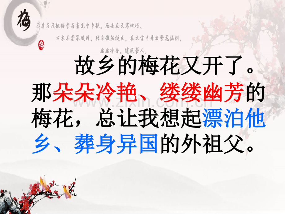 公开课梅花魂.pptx_第2页
