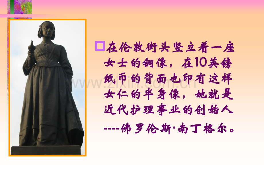 护理札记读后感.pptx_第2页