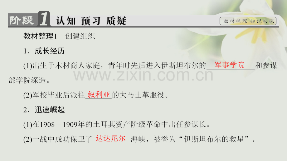 学高中历史专题亚洲觉醒的先驱四土耳其之父凯末尔人民版选修.pptx_第2页