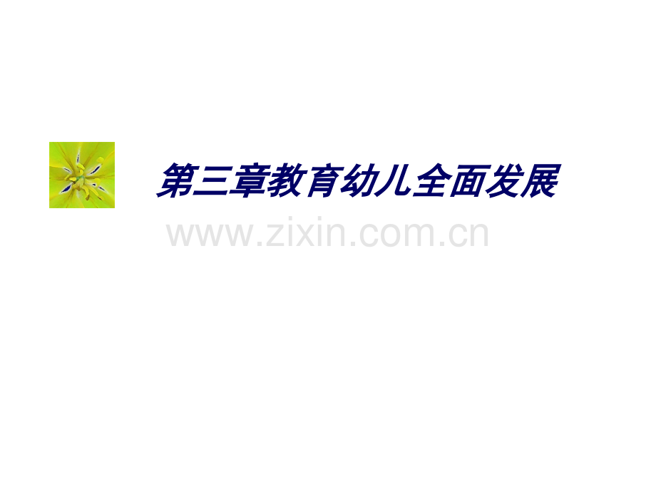 幼儿园全面发展教育.pptx_第1页